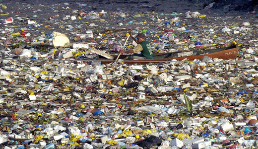 plastic harms the environment essay plastic harms the environment essay